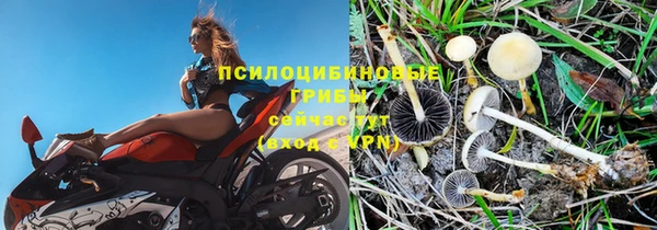 ECSTASY Горнозаводск
